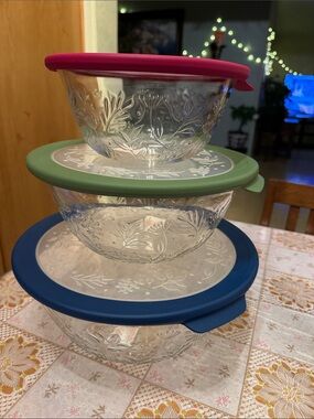 Princess House Embossed Glass Bowl Set with Pink, Green & Blue Silicone Lids